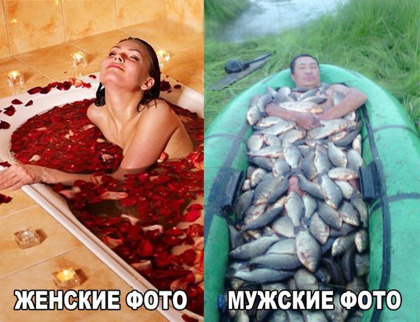 Юмор. Картинка