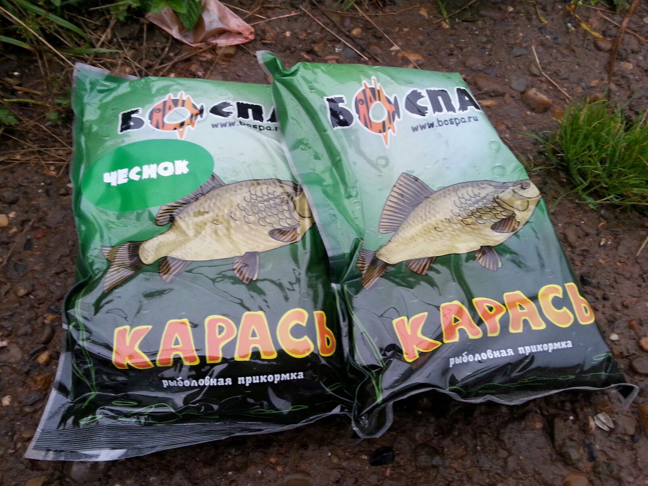 Доброе утро. Карась