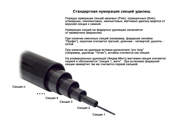 Нумерация секций